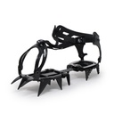 CRAMPON POSETS - ALTUS