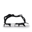 CRAMPON POSETS - ALTUS
